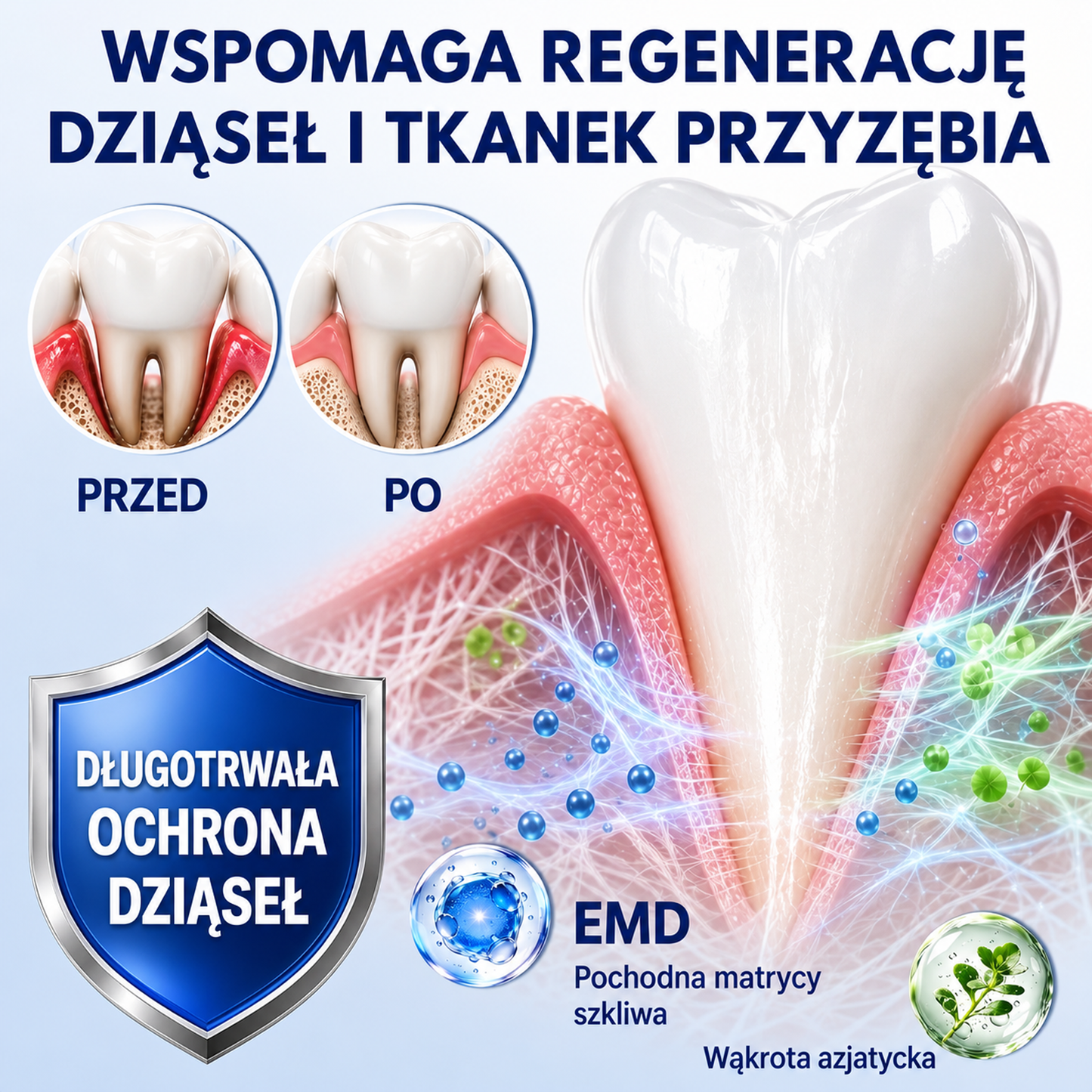 🇵🇱👨‍⚕️✅🦷𝗣𝘂𝗿𝗮𝗖𝘂𝗿𝗲® 𝗢𝗗𝗡𝗢𝗪𝗔 𝗗𝗭𝗜Ą𝗦𝗘Ł Ż𝗲𝗹 𝗻𝗮𝗽𝗿𝗮𝘄𝗰𝘇𝘆 𝗽𝗿𝘇𝘆 𝗽𝗮𝗿𝗮𝗱𝗼𝗻𝘁𝗼𝘇𝗶𝗲🍔