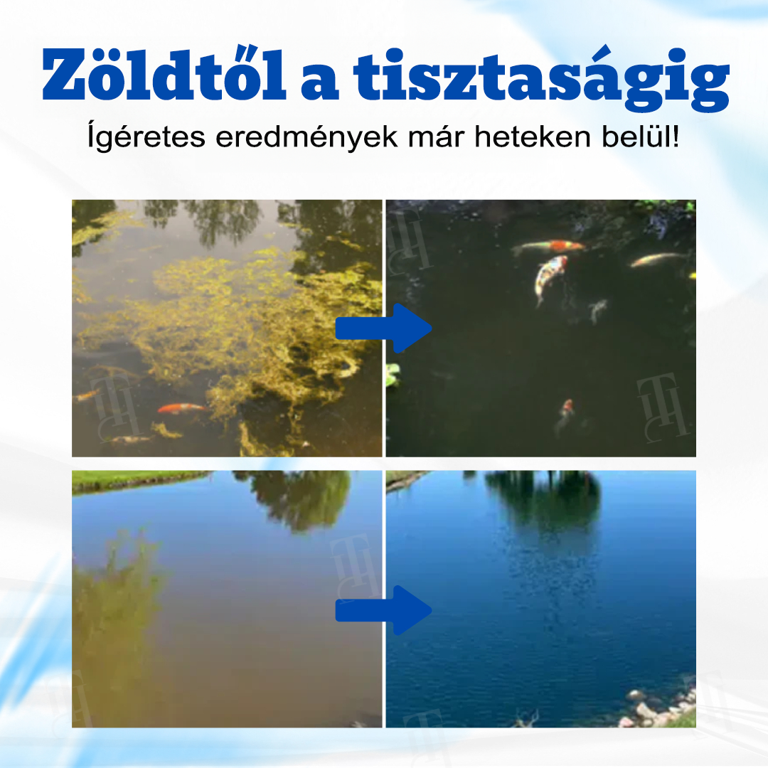 BSWELL® Aqua-Guardian Professzionális formula – Hatékony algamentesítés és kristálytiszta tó rövid idő alatt!