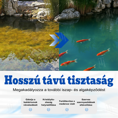 BSWELL® Aqua-Guardian Professzionális formula – Hatékony algamentesítés és kristálytiszta tó rövid idő alatt!