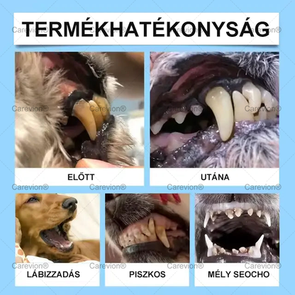 [Hivatalos Bolt]🐕‍🦺🐕‍🦺 Carevion® Pet Dental & Digestive Health Szájápoló Folyadék – Frissebb lehelet, kevesebb fogkő és támogatás az ínyregenerációhoz, stabilizálja a fogakat (macskák és kutyák számára) – Spórolj 70%-ot ma!