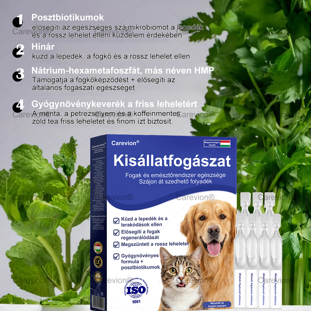 [Hivatalos Bolt]🐕‍🦺🐕‍🦺 Carevion® Pet Dental & Digestive Health Szájápoló Folyadék – Frissebb lehelet, kevesebb fogkő és támogatás az ínyregenerációhoz, stabilizálja a fogakat (macskák és kutyák számára) – Spórolj 70%-ot ma!