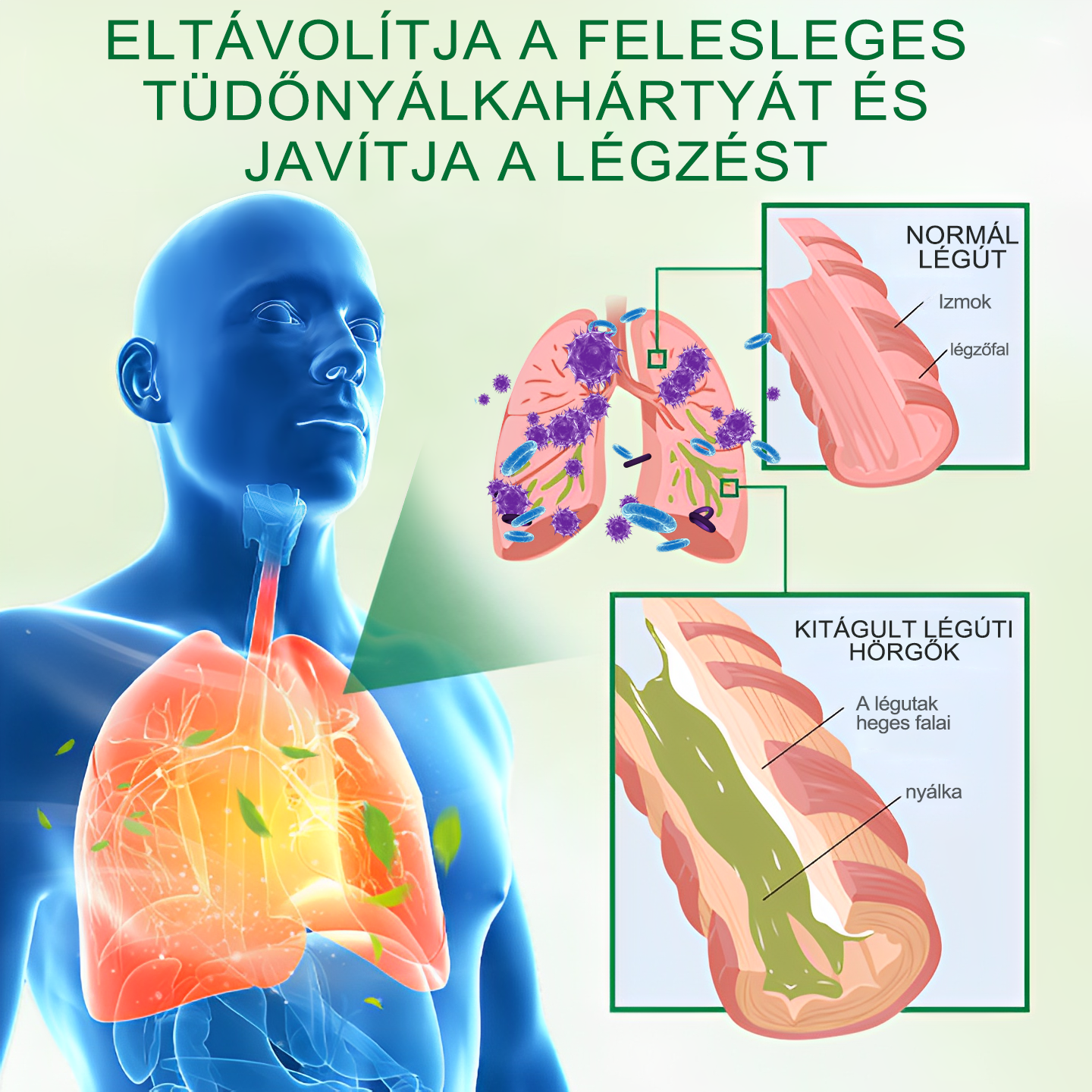 🍀BSWELL®  Fejlett Tüdőtisztító Spray -Támogatja a tüdő, a hörgők és az orrmelléküregek egészségét, elősegíti a légzőrendszer egészségét és a könnyebb légzést