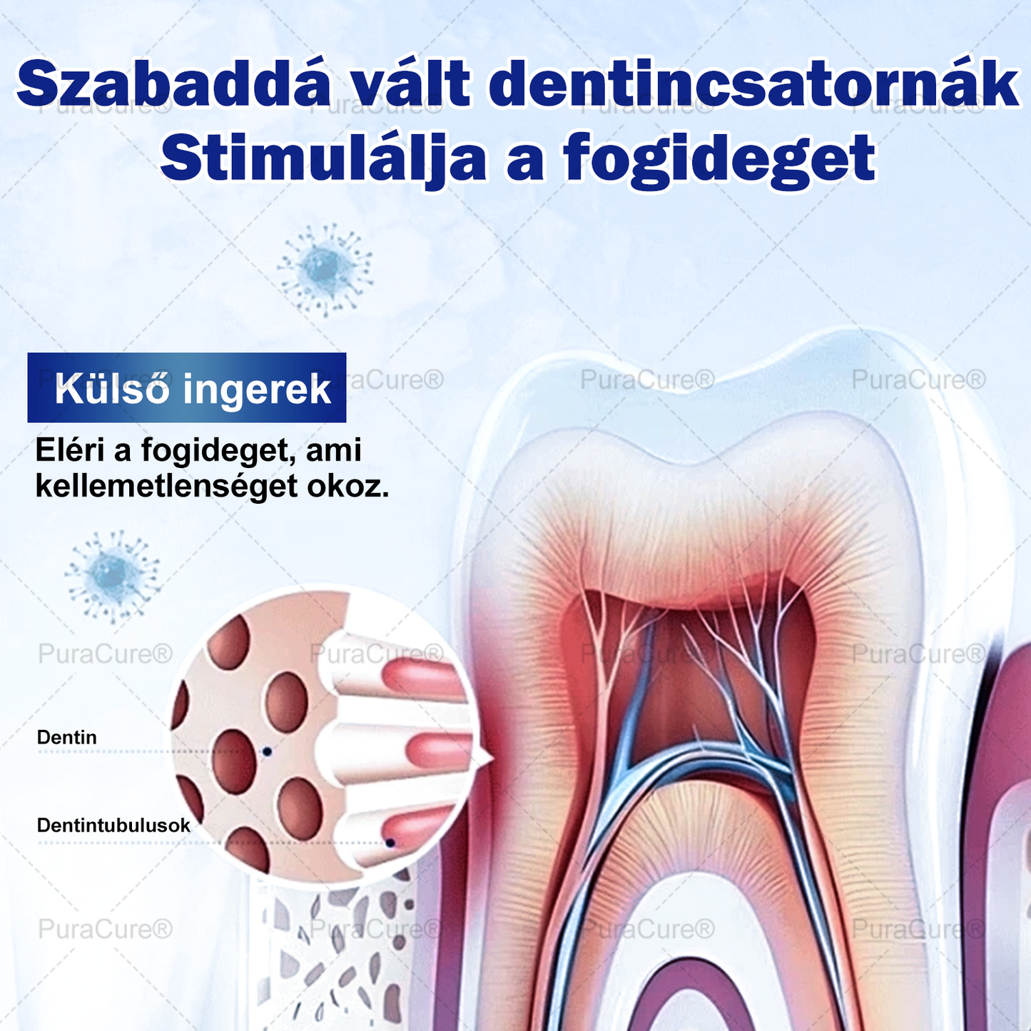7,5% Nano-Hidroxiapatit Zománcjavító Fogkrém – Fluoridmentes Remineralizáló Formula, Csökkenti a Fogérzékenységet, Segít Megelőzni a Fogszuvasodást, 16 Órás Friss Lehelet – Minden Korosztály Számára
