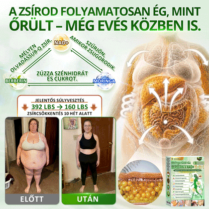 Hivatalos Áruház | Újdonság! 🍀 BSWELL® Moringa × Berberin × NAD+ 10 az 1-ben Nano Mikrotűs Tapasz (Naponta egyszer, látható változások 7 nap után) Berberin + Moringa Formula ✅ Elhízás, megereszkedett bőr, cukorbetegség, alvási apnoé, ízületi problémák